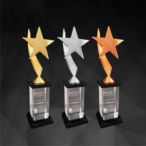 Awards Crystal Star Award CR9146