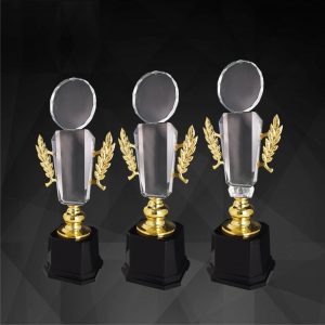 Crystal Trophy Crystal Trophy C9154 Crystal Trophy Crystal Trophy C9154
