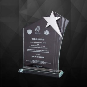 Crystal Plaques Crystal Star Plaque CR9167
