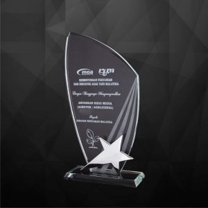 Crystal Plaques Crystal Star Plaque CR9168
