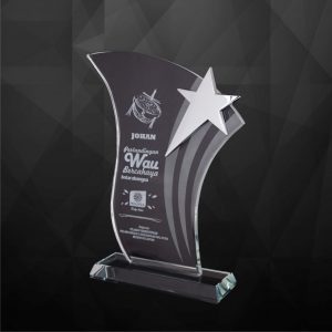 Crystal Plaques Crystal Star Plaque CR9169