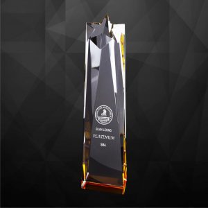 Crystal Plaques Crystal Star Plaque CR9221