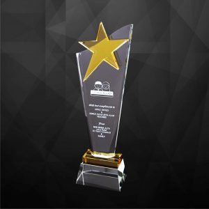 Crystal Plaques Crystal Star Plaque CR9225