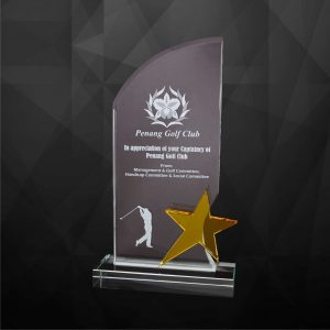 Crystal Plaques Crystal Star Plaque CR9227
