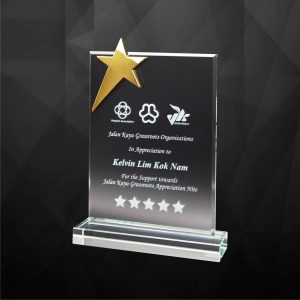 Crystal Plaques Crystal Star Plaque CR9253