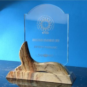 Crystal Plaques Crystal Award CR9305