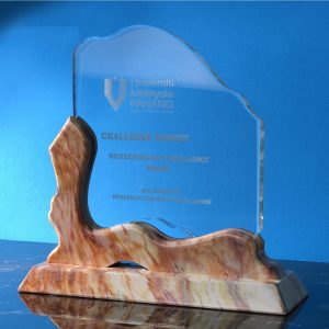 Crystal Plaques Crystal Award CR9306