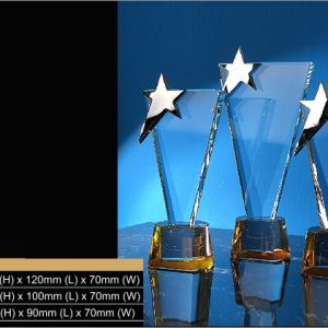 Crystal Trophy Star Crystal Trophy CR9316