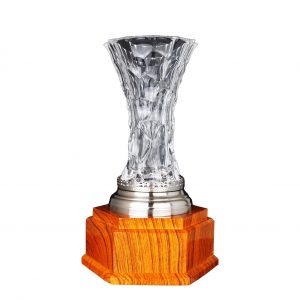 Awards Crystal Vase Trophy CR9331