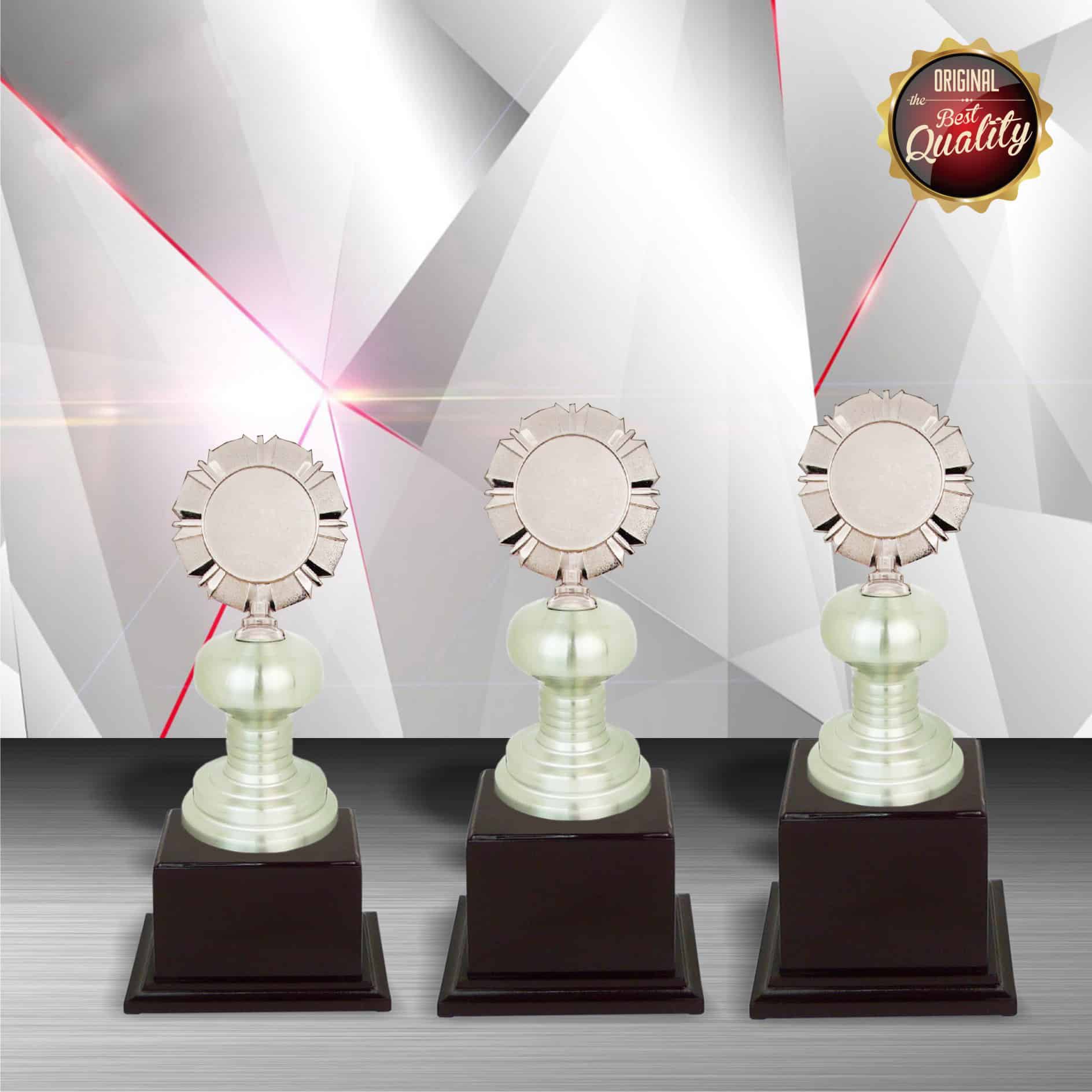 Silver Trophy Silver Trophy EXWS6011 Silver Trophy Silver Trophy EXWS6011
