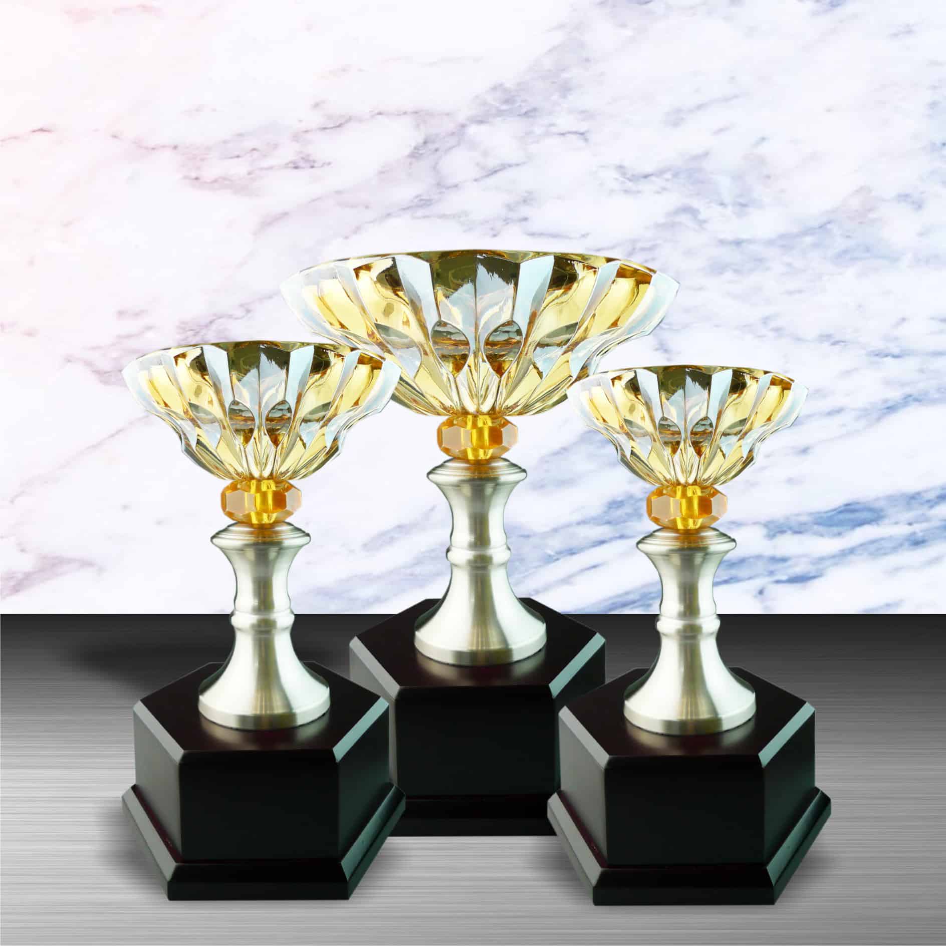Crystal Trophy Silver Crystal Trophy EXWS6046 Crystal Trophy Silver Crystal Trophy EXWS6046