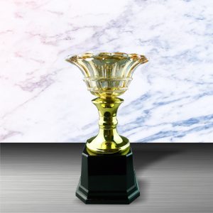 Crystal Trophy Golden Crystal Trophy EXWS6049 Crystal Trophy Golden Crystal Trophy EXWS6049