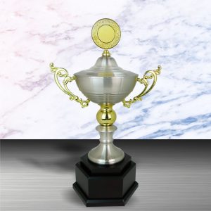 Challenge Trophy Silver Challenge Trophy EXWS6075
