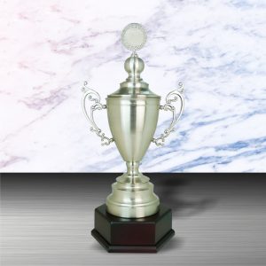 Challenge Trophy Silver Challenge Trophy EXWS6091