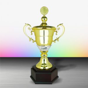 Challenge Trophy Golden Challenge Trophy EXWS6095