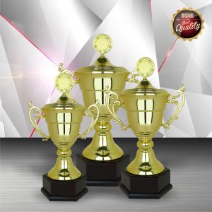 Challenge Trophy Golden Trophy EXWS6098