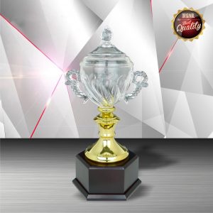 Crystal Trophy Golden Crystal Trophy EXWS6101 Crystal Trophy Golden Crystal Trophy EXWS6101
