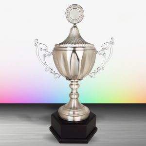 Challenge Trophy Silver Challenge Trophy EXWS6113