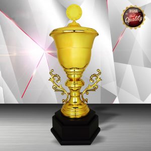 Challenge Trophy Golden Trophy EXWS6121