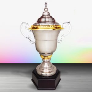 Challenge Trophy Silver Challenge Trophy EXWS6122