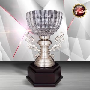 Crystal Trophy Silver Crystal Trophy EXWS6126 Crystal Trophy Silver Crystal Trophy EXWS6126