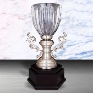 Crystal Trophy Silver Crystal Cup Trophy EXWS6130 Crystal Trophy Silver Crystal Cup Trophy EXWS6130