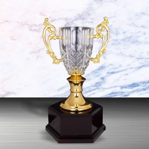 Crystal Trophy Golden Crystal Cup Trophy EXWS6133 Crystal Trophy Golden Crystal Cup Trophy EXWS6133