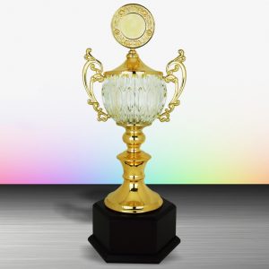 Crystal Trophy Golden Crystal Trophy EXWS6134 Crystal Trophy Golden Crystal Trophy EXWS6134