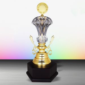 Crystal Trophy Golden Crystal Trophy EXWS6140 Crystal Trophy Golden Crystal Trophy EXWS6140
