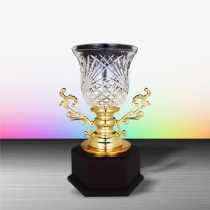 Crystal Trophy Golden Crystal Cup Trophy EXWS6145 Crystal Trophy Golden Crystal Cup Trophy EXWS6145