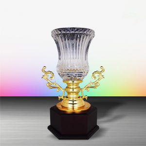 Crystal Trophy Golden Crystal Cup Trophy EXWS6146 Crystal Trophy Golden Crystal Cup Trophy EXWS6146