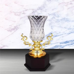 Crystal Trophy Golden Crystal Cup Trophy EXWS6147 Crystal Trophy Golden Crystal Cup Trophy EXWS6147