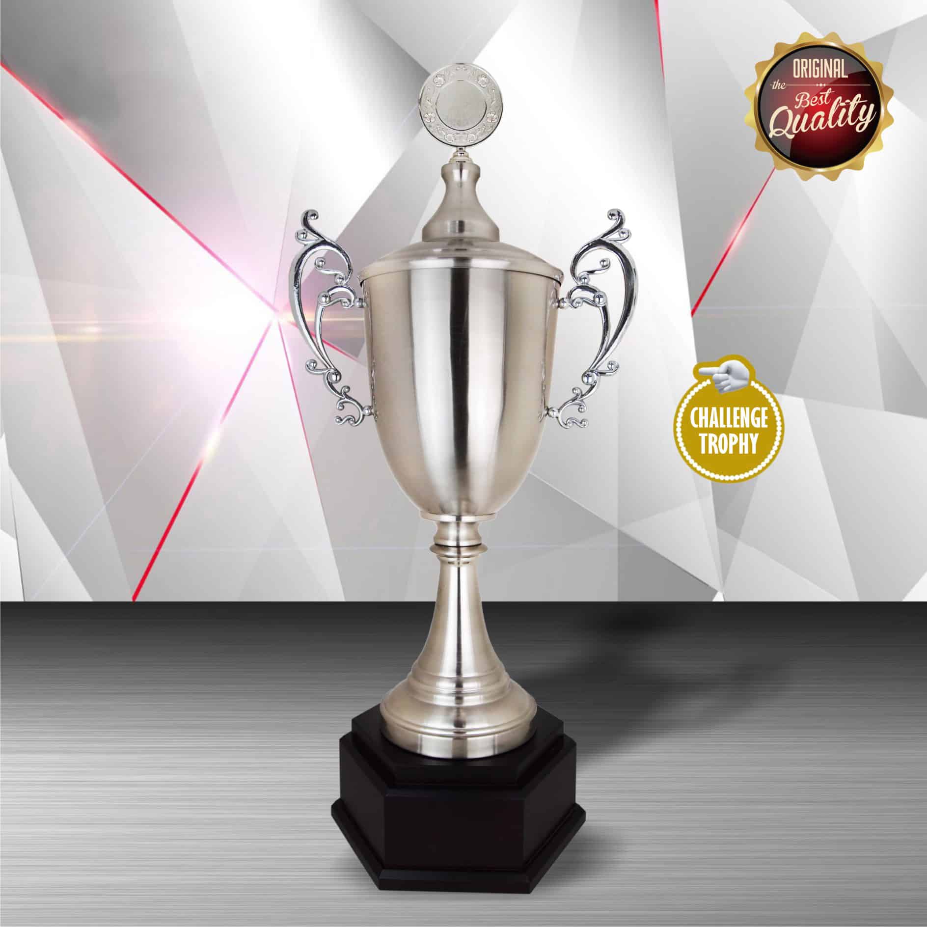 Silver Trophy Silver Trophy EXWS6150 Silver Trophy Silver Trophy EXWS6150