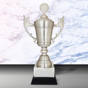 Challenge Trophy Silver Trophy EXWS6164