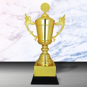 Challenge Trophy Golden Trophy EXWS6167