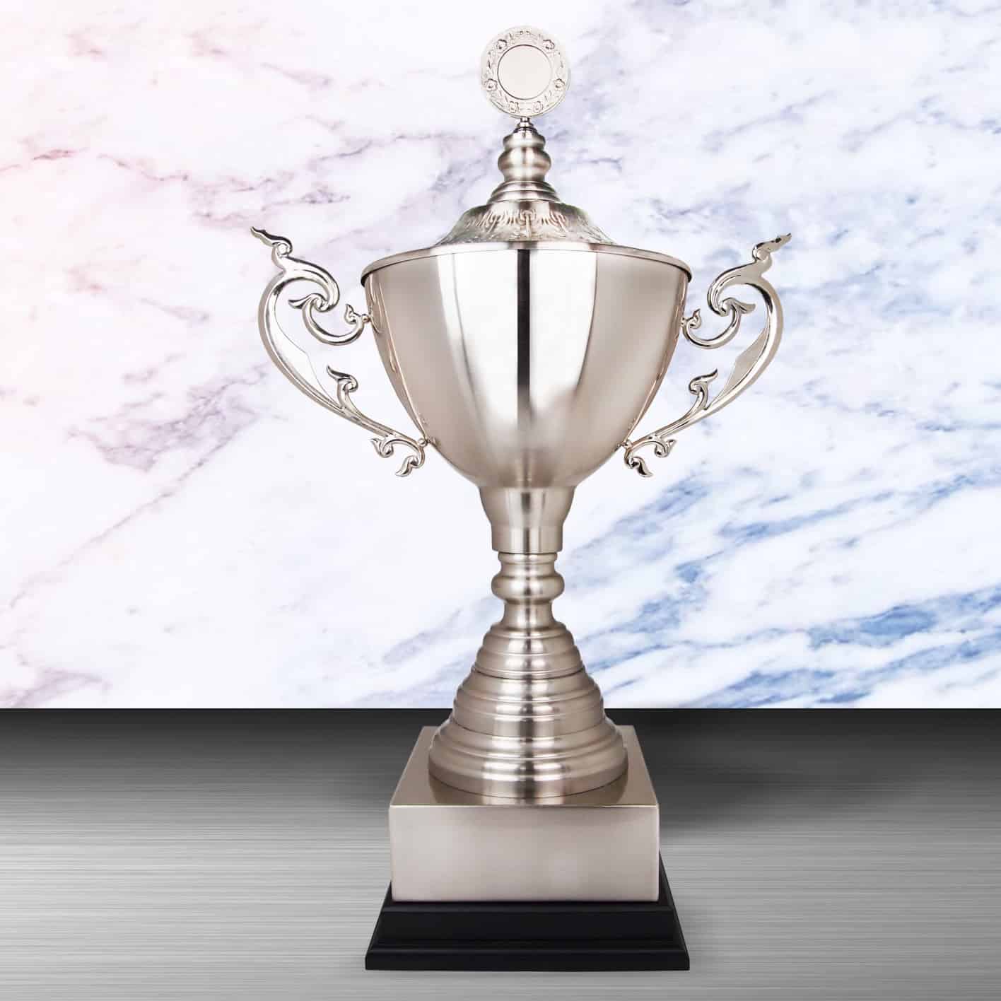 Challenge Trophy Silver Trophy EXWS6173 Challenge Trophy Silver Trophy EXWS6173