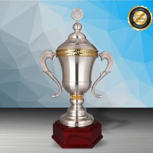 Challenge Trophy Silver Trophy EXWS6199