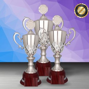 Silver Trophy Silver Trophy EXWS6200