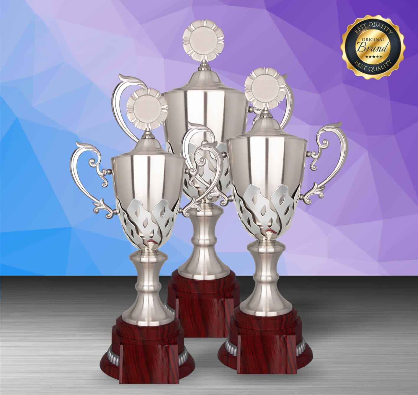 Silver Trophy Silver Trophy EXWS6200 Silver Trophy Silver Trophy EXWS6200