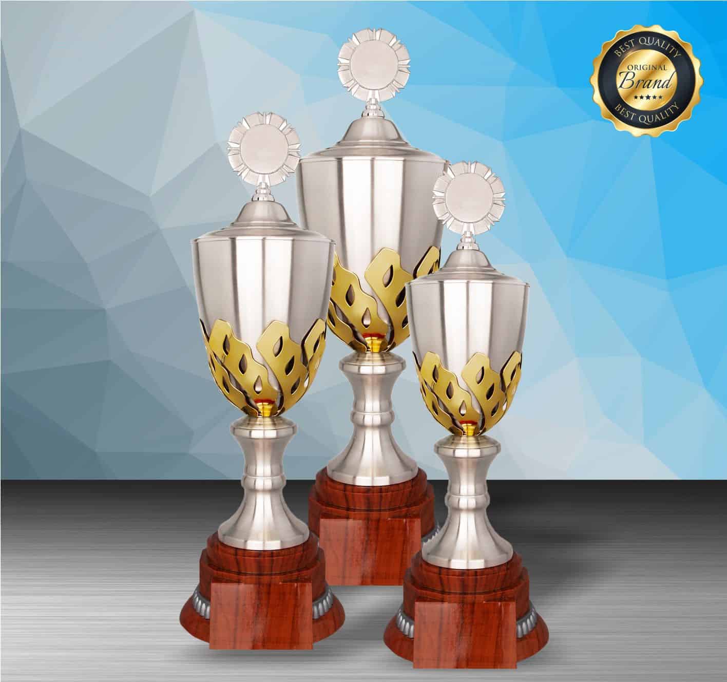 Silver Trophy Silver Trophy EXWS6202 Silver Trophy Silver Trophy EXWS6202