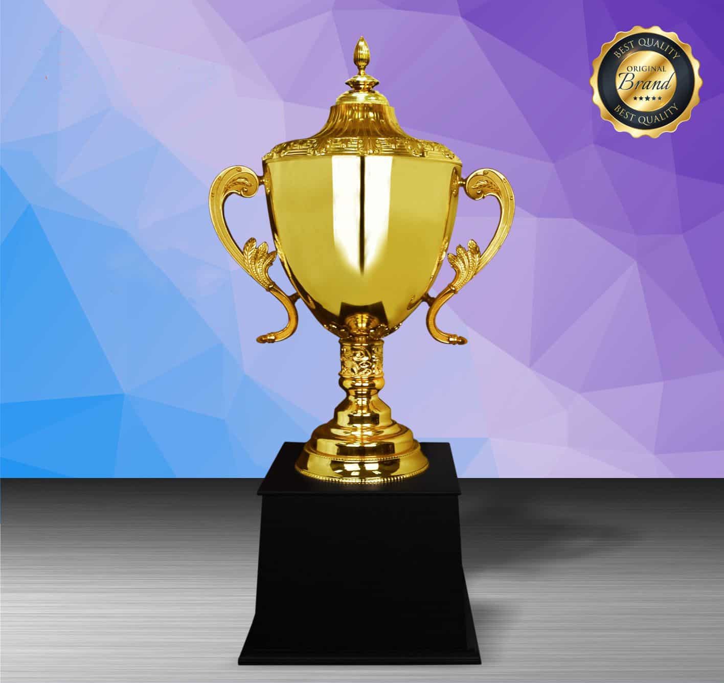 Challenge Trophy Golden Trophy EXWS6212 Challenge Trophy Golden Trophy EXWS6212
