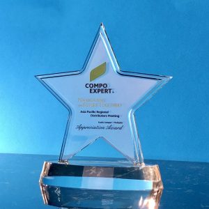Acrylic Plaques Star Acrylic Plaque SP5010