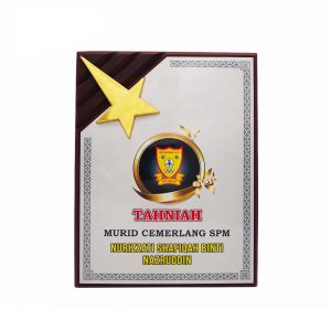 Plaques Wooden Plaque Gold Star WP7087 Plaques Wooden Plaque Gold Star WP7087
