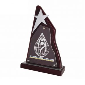 Plaques Star Wooden Plaque WP7123 Plaques Star Wooden Plaque WP7123