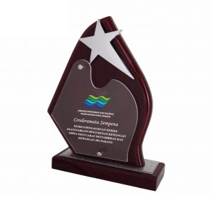 Plaques Star Wooden Plaque WP7125 Plaques Star Wooden Plaque WP7125