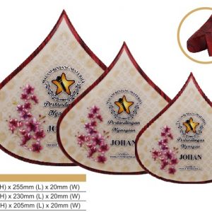 Plaques Modern Wooden Award WP7185 Plaques Modern Wooden Award WP7185