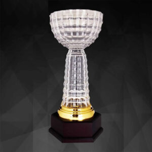 Crystal Trophy Crystal Cup Trophy CR9197 Crystal Trophy Crystal Cup Trophy CR9197