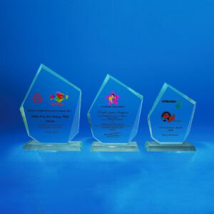 Crystal Plaques Crystal Plaque CR0092