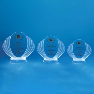 Crystal Plaques Crystal Plaque CR0099