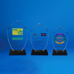 Crystal Plaques Crystal Plaque CR0112